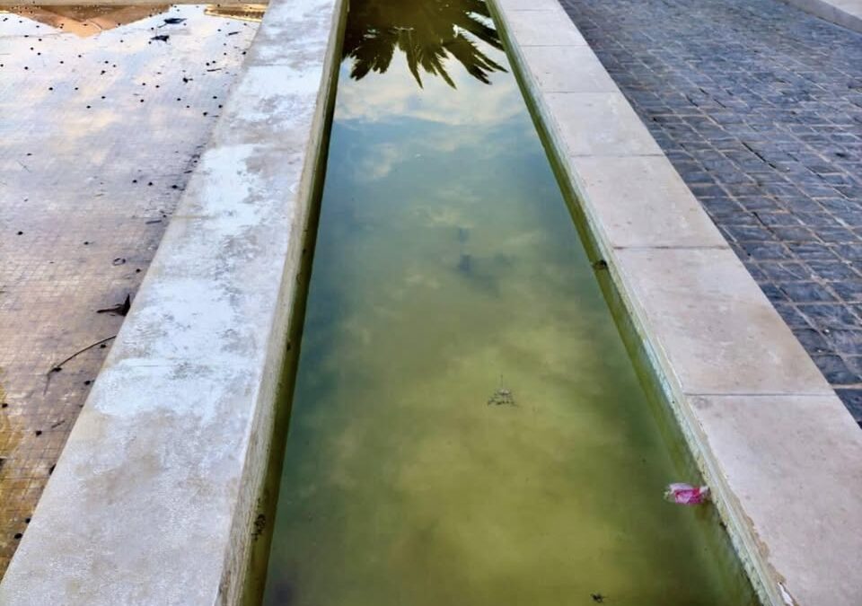 Abandono de la Fuente de la Plaza de la Constitución