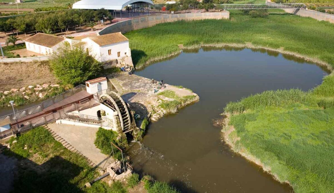 La Noria de Benijófar: símbolo de nuestra huerta